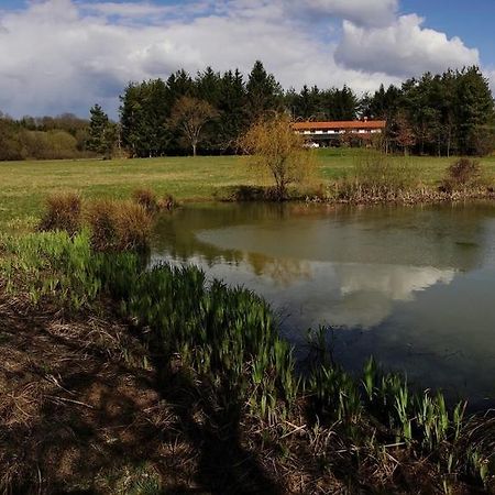 Orsegi Patakparti Alpaka Panzio Kisrakos Bagian luar foto
