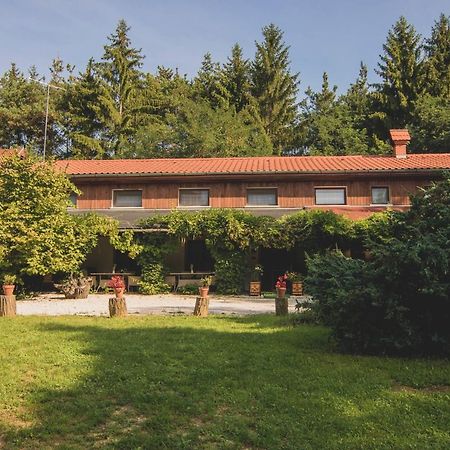 Orsegi Patakparti Alpaka Panzio Kisrakos Bagian luar foto