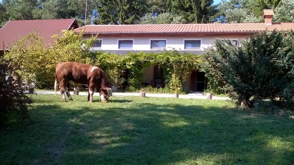 Orsegi Patakparti Alpaka Panzio Kisrakos Bagian luar foto