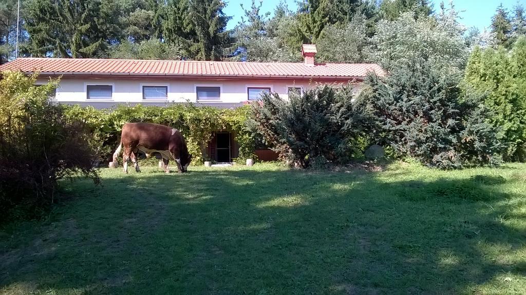 Orsegi Patakparti Alpaka Panzio Kisrakos Bagian luar foto